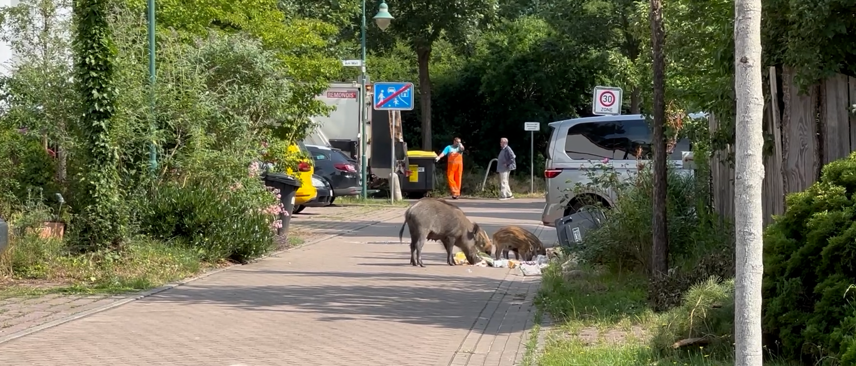 „Kleinmachnow, wir haben ein Problem!“