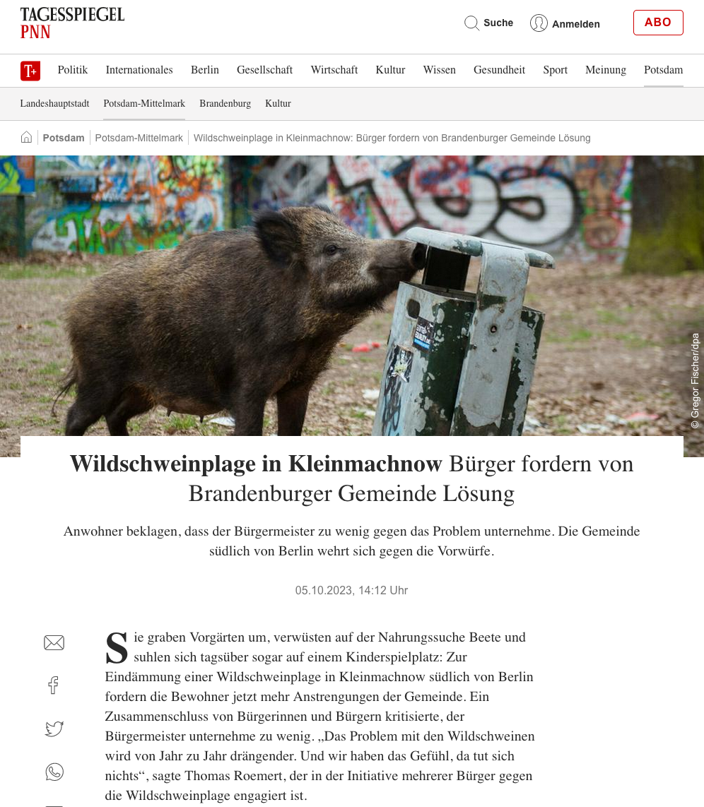 Tagesspiegel vom 05.10.2023: Wildschweinplage in Kleinmachnow