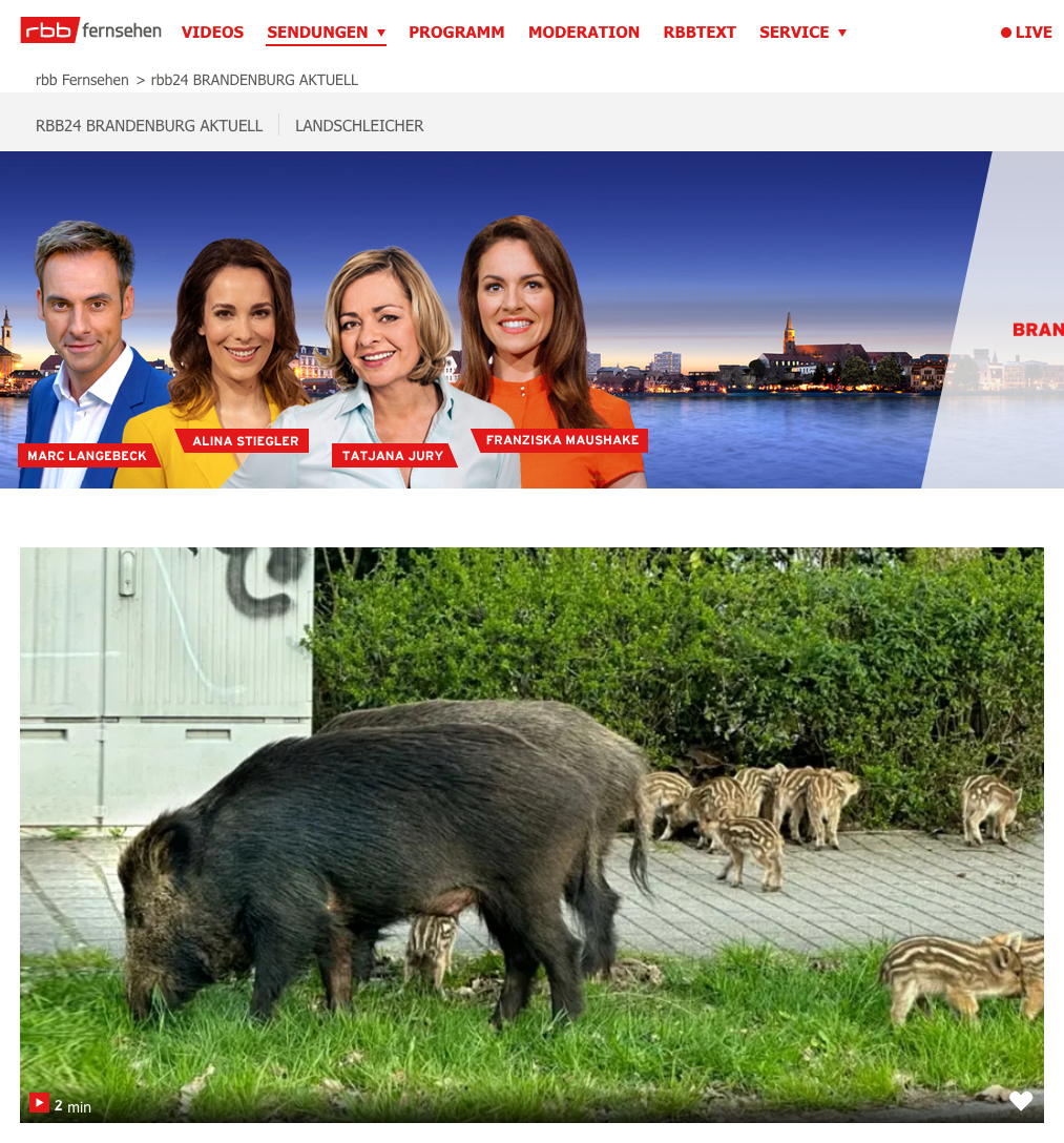 RBB Abendschau vom 06.10.2023: Kleinmachnower Bürgerinitiative kämpft gegen Wildschweine