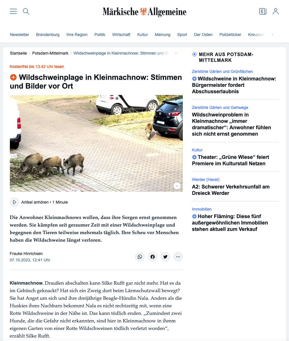 MAZ vom 07.10.2023: Wildschweinplage in Kleinmachnow: Stimmen und Bilder vor Ort