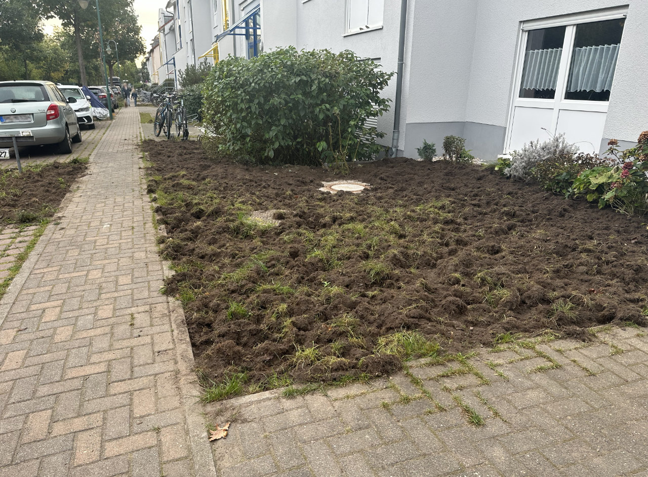 Videoimpressionen